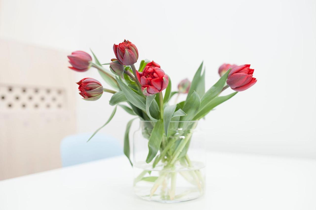 Hip & Stylisch B&B Amsterdam Zewnętrze zdjęcie